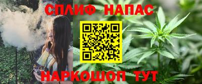 ALPHA PVP Камышлов