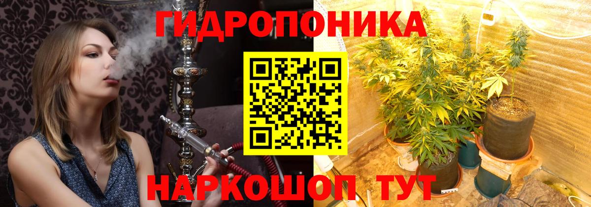 Марихуана марихуана  Бошки Шишки ГИДРОПОН  Краснодар  Канабис OG Kush  Вход с VPN 